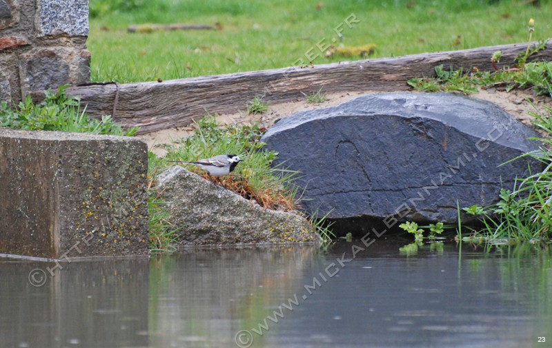 Photo (10)
