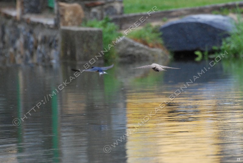 Photo (16)