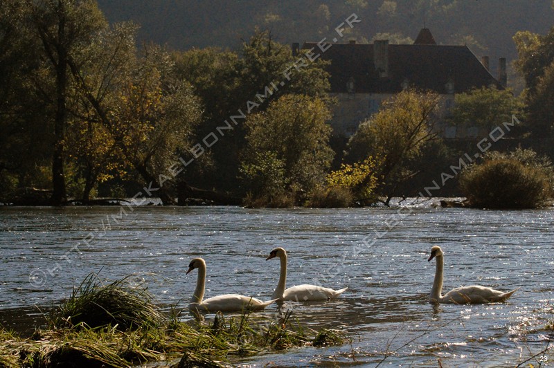 Balade en Dordogne (1)