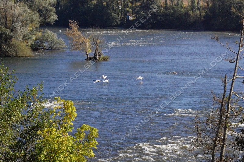 Balade en Dordogne (19)