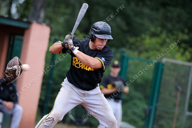 NIKON D300S - 300.0 mm f/4.0