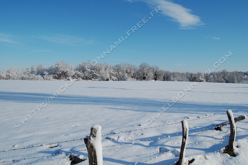 Cavignac (20)