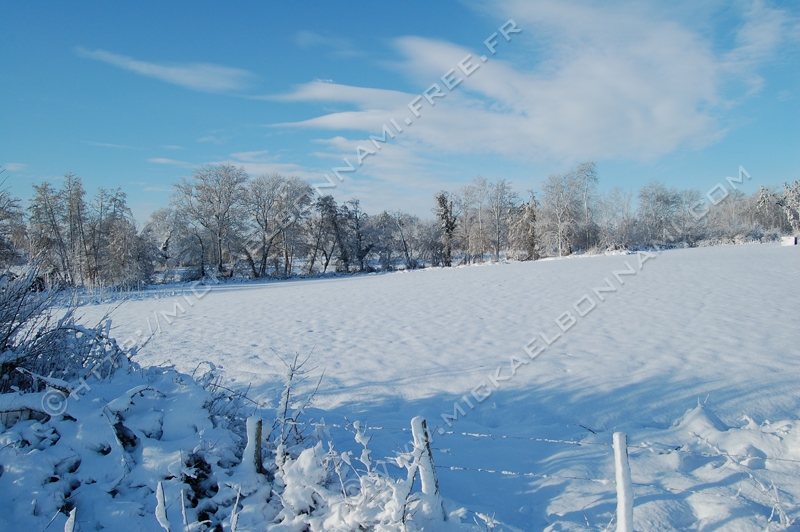 Cavignac (22)