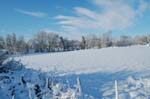 Cavignac (22)