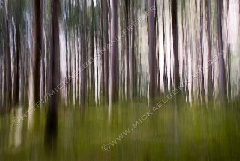 NIKON D200 - 18.0-70.0 mm f/3.5-4.5