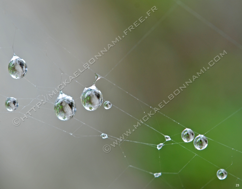 Macros Aure (1)