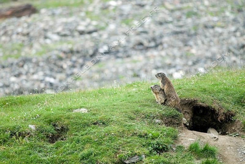 NIKON D200 - 300.0 mm f/4.0