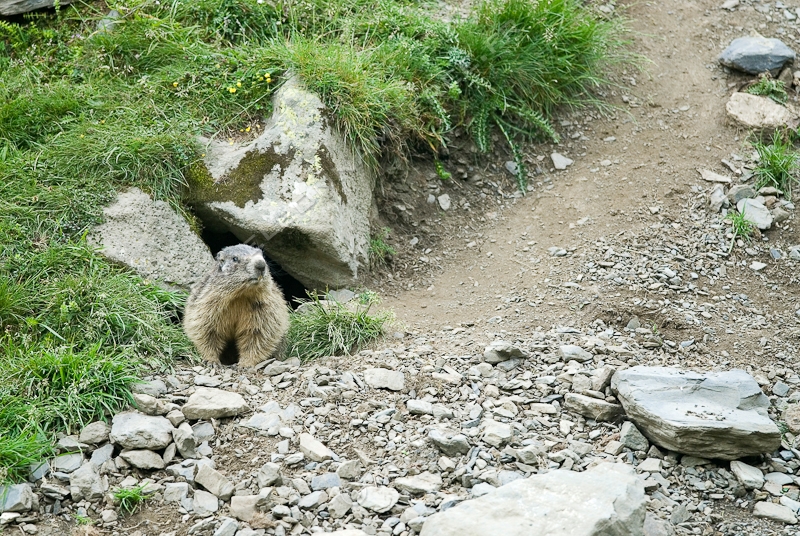 NIKON D200 - 300.0 mm f/4.0
