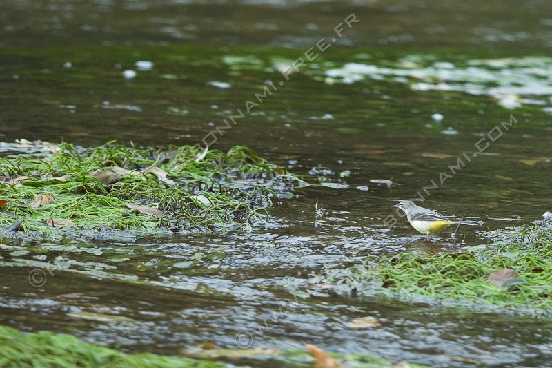 NIKON D200 - 300.0 mm f/4.0