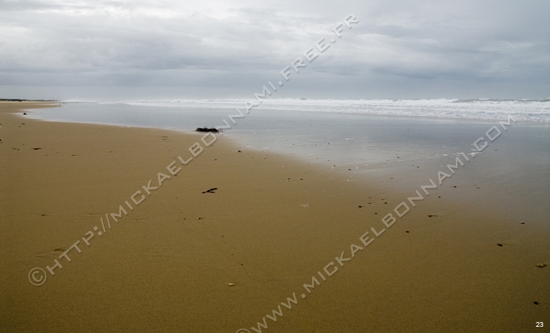 Dune (1)