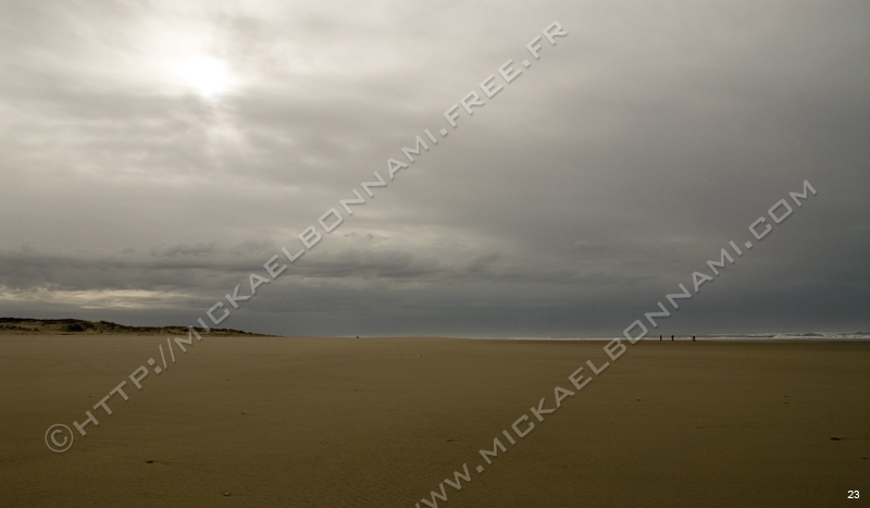 Dune (15)