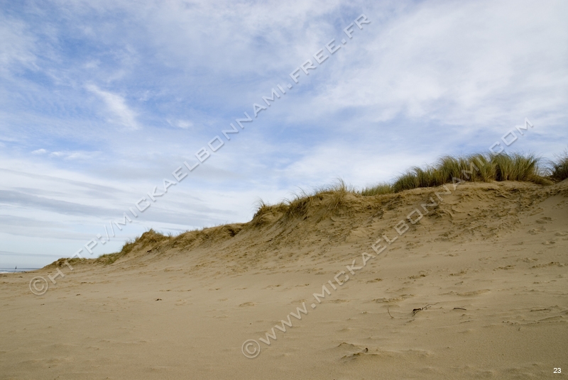 Dune (2)