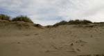 Dune (9)