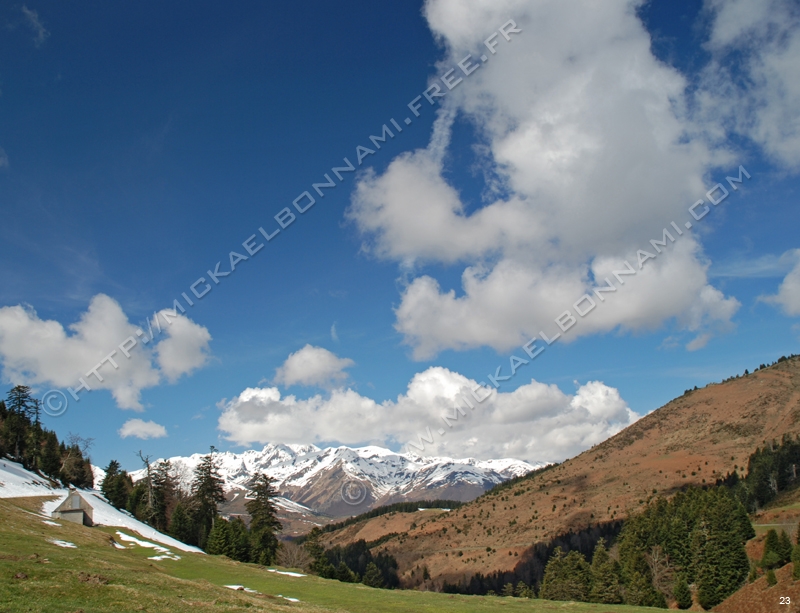 Photo (07)