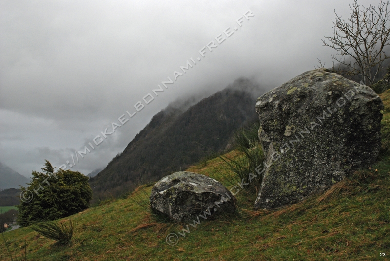 Photo (11)