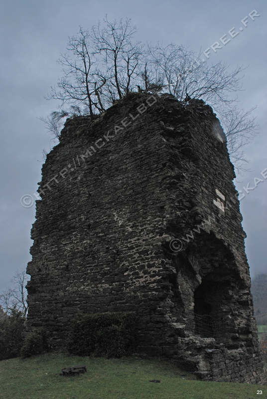 Photo (12)