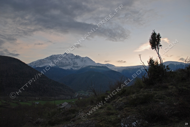 Photo (14)