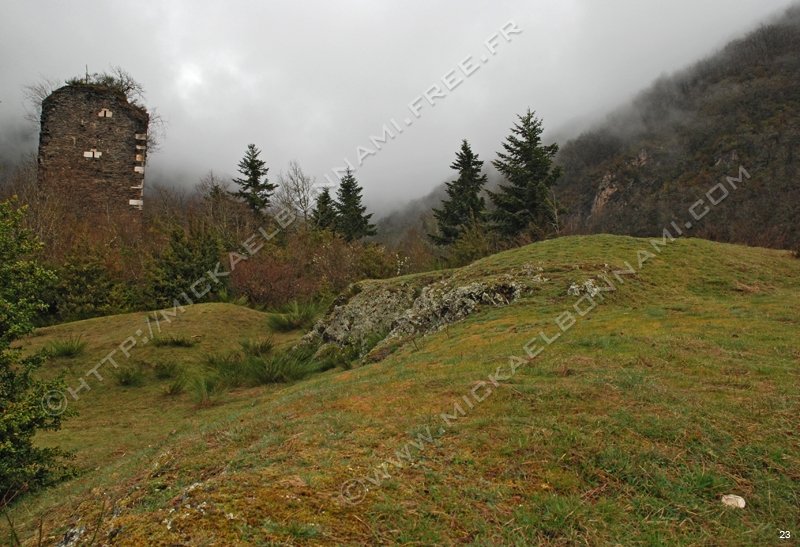 Photo (19)
