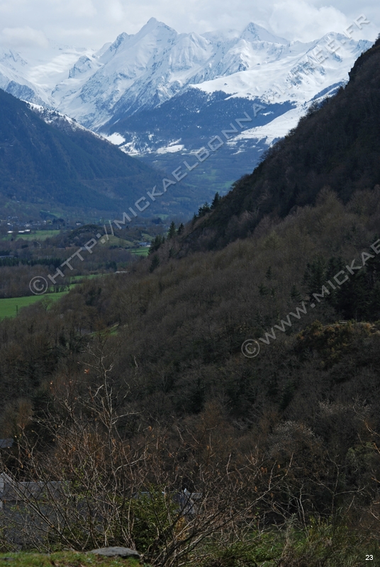 Photo (29)