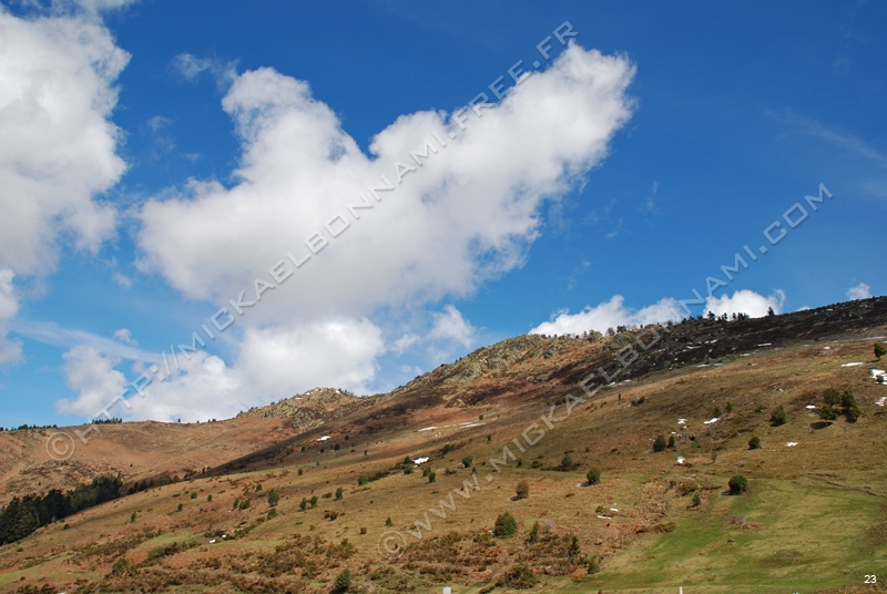 Photo (48)