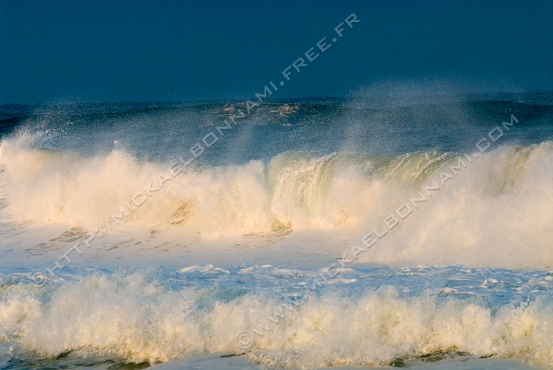 NIKON D200 - 300.0 mm f/4.0