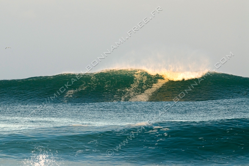 NIKON D200 - 300.0 mm f/4.0