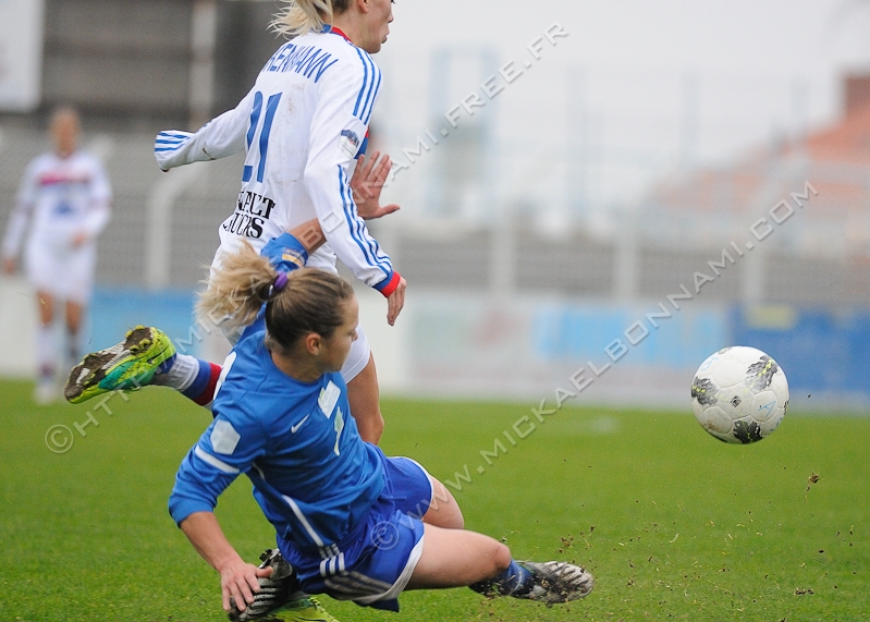 NIKON D300S - 300.0 mm f/4.0