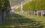 Tram de Bordeaux (23)