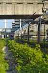 Tram de Bordeaux (27)