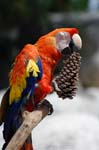 Zoo de la Palmyre (44)