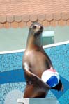 Zoo de la Palmyre (48)